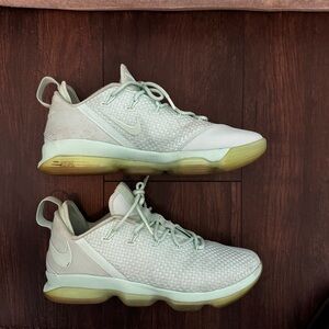 Nike Mint Lebron